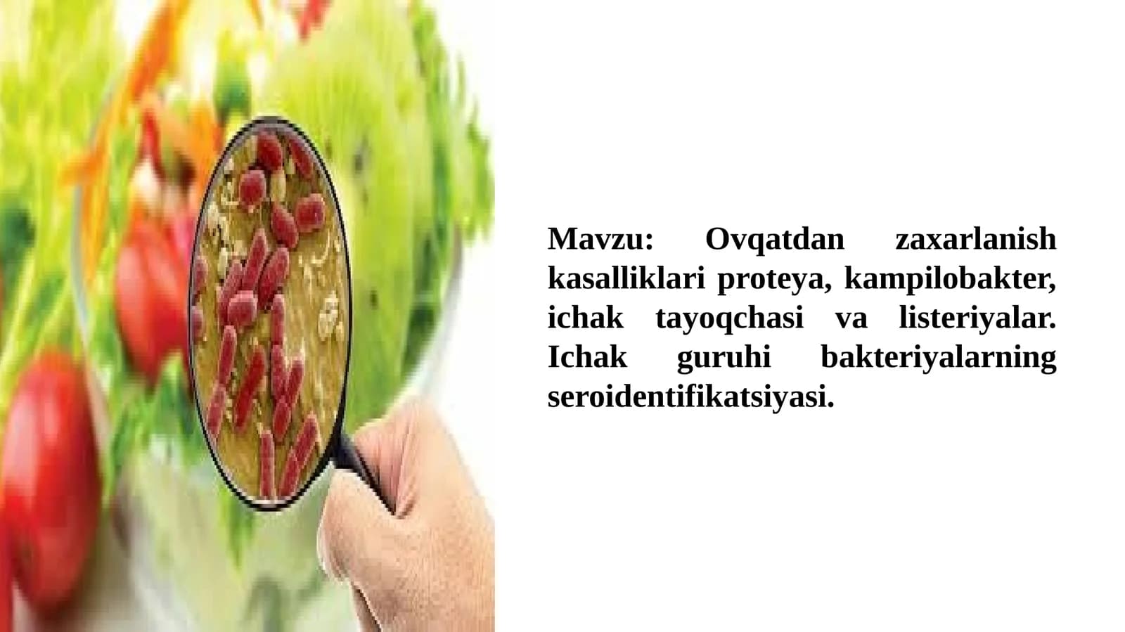 Ichak guruhi bakteriyalarining seroidentifikatsiyasi