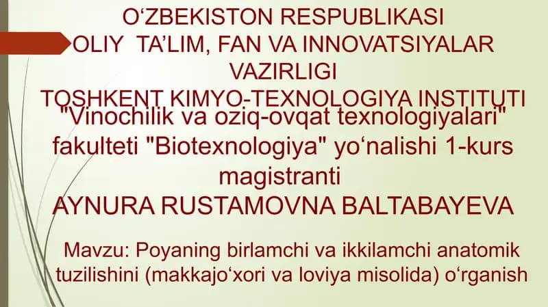 Poyaning birlamchi va ikkilamchi anatomik tuzilishini (makkajo‘xori va loviya misolida) o‘rganish