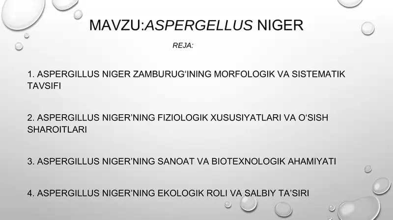 Aspergellusniger
