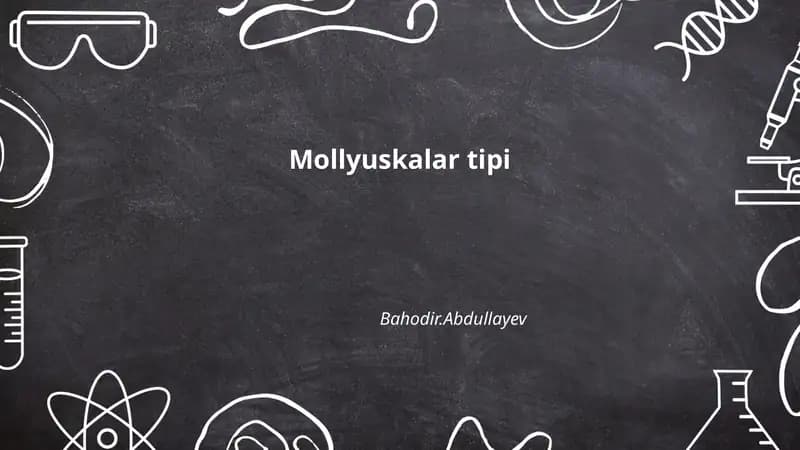 Mollyuskalar tipi