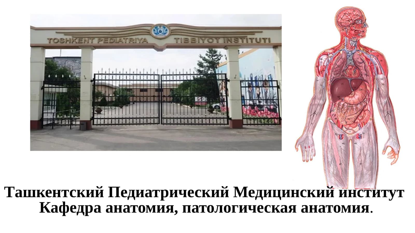 Программа олимпиады 2022