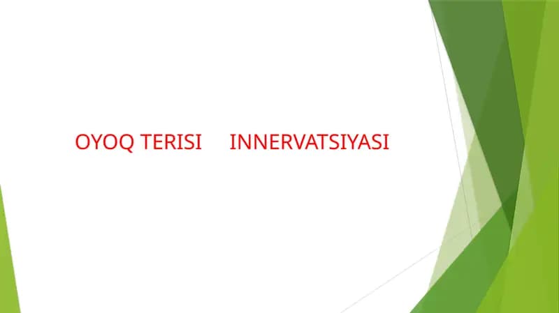 OYOQ TERISI INNERVATSIYASI