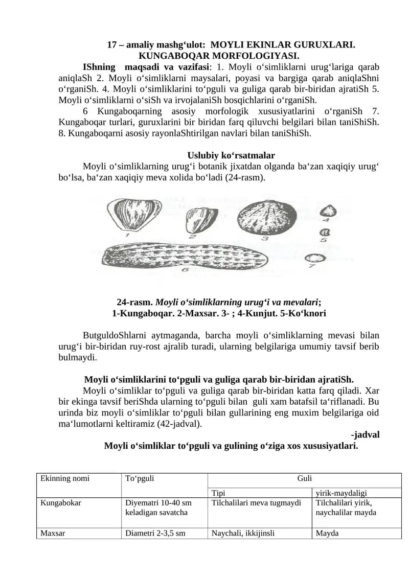 MOYLI EKINLAR GURUXLARI. KUNGABOQAR MORFOLOGIYASI