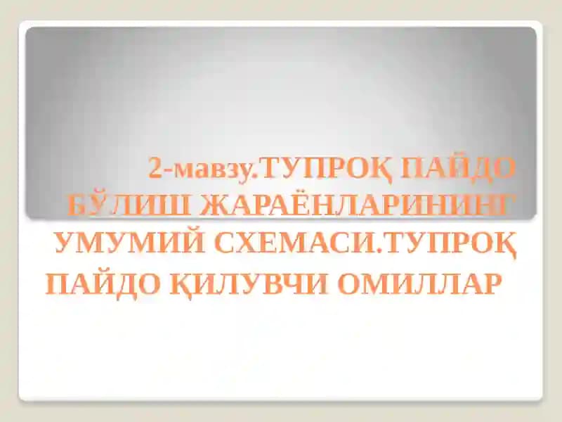 ТУПРОҚ ПАЙДО БЎЛИШ ЖАРАЁНЛАРИНИНГ УМУМИЙ СХЕМАСИ