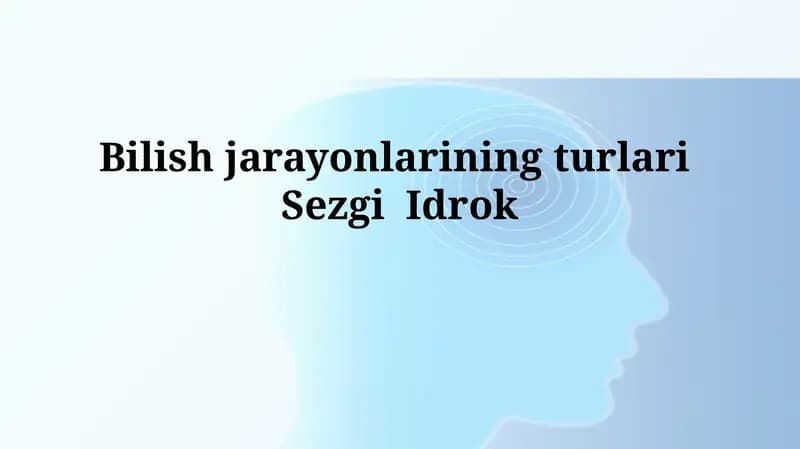 Sezgi va Idrok: Ta'riflar va Turlari
