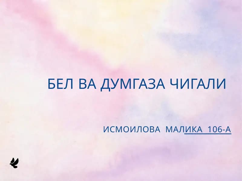 Бел чигали