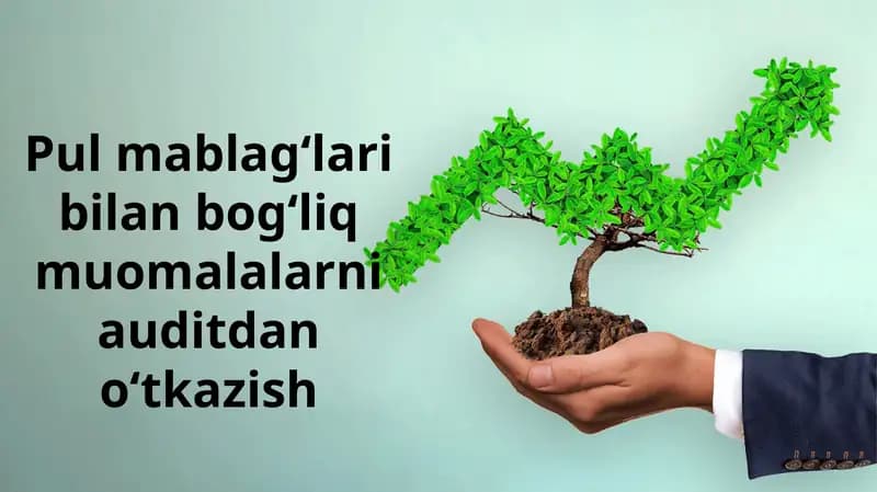 Pul mablag‘lari bilan bog‘liq muomalalarni auditdan o‘tkazish