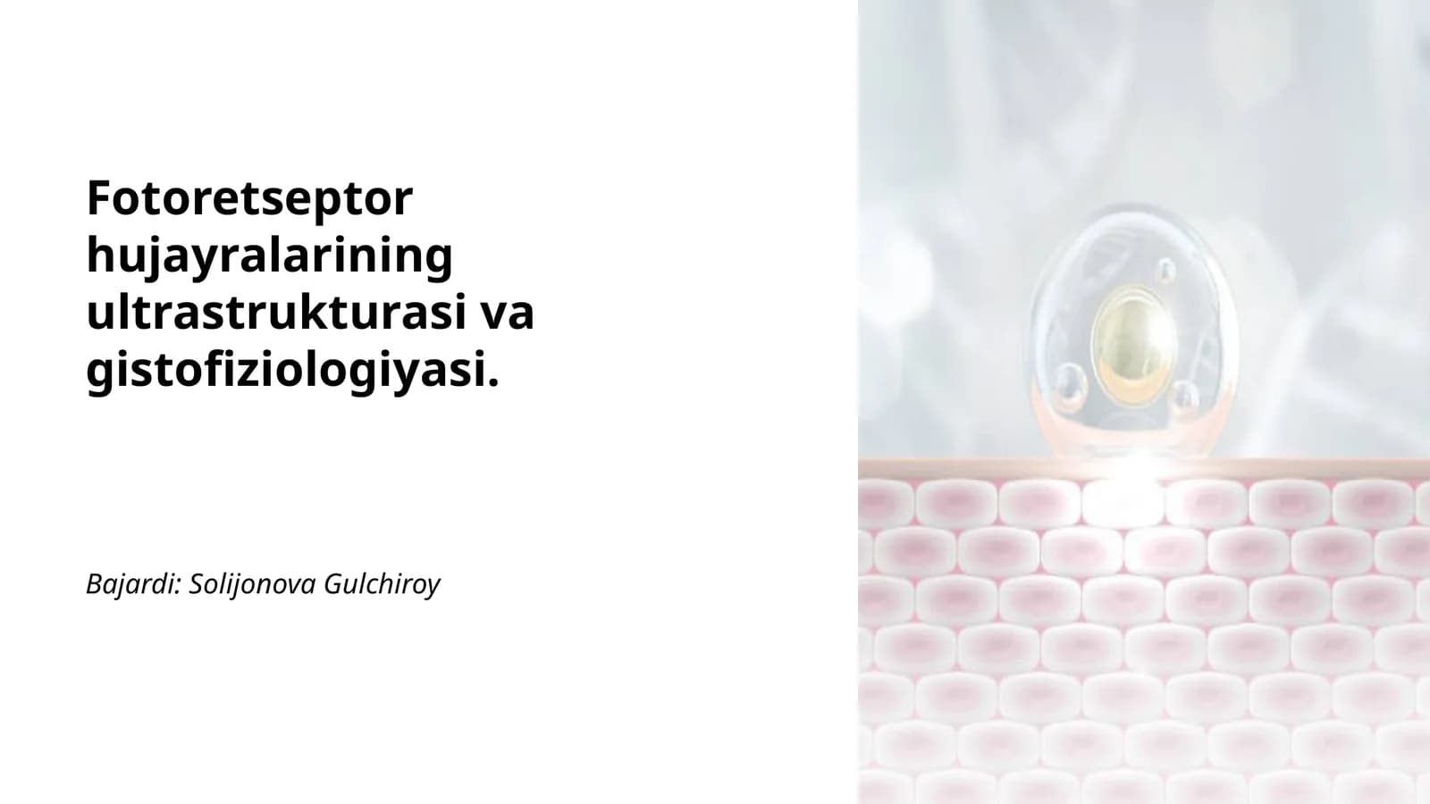 Fotoretseptor hujayralarining ultrastrukturasi va gistofiziologiyasi