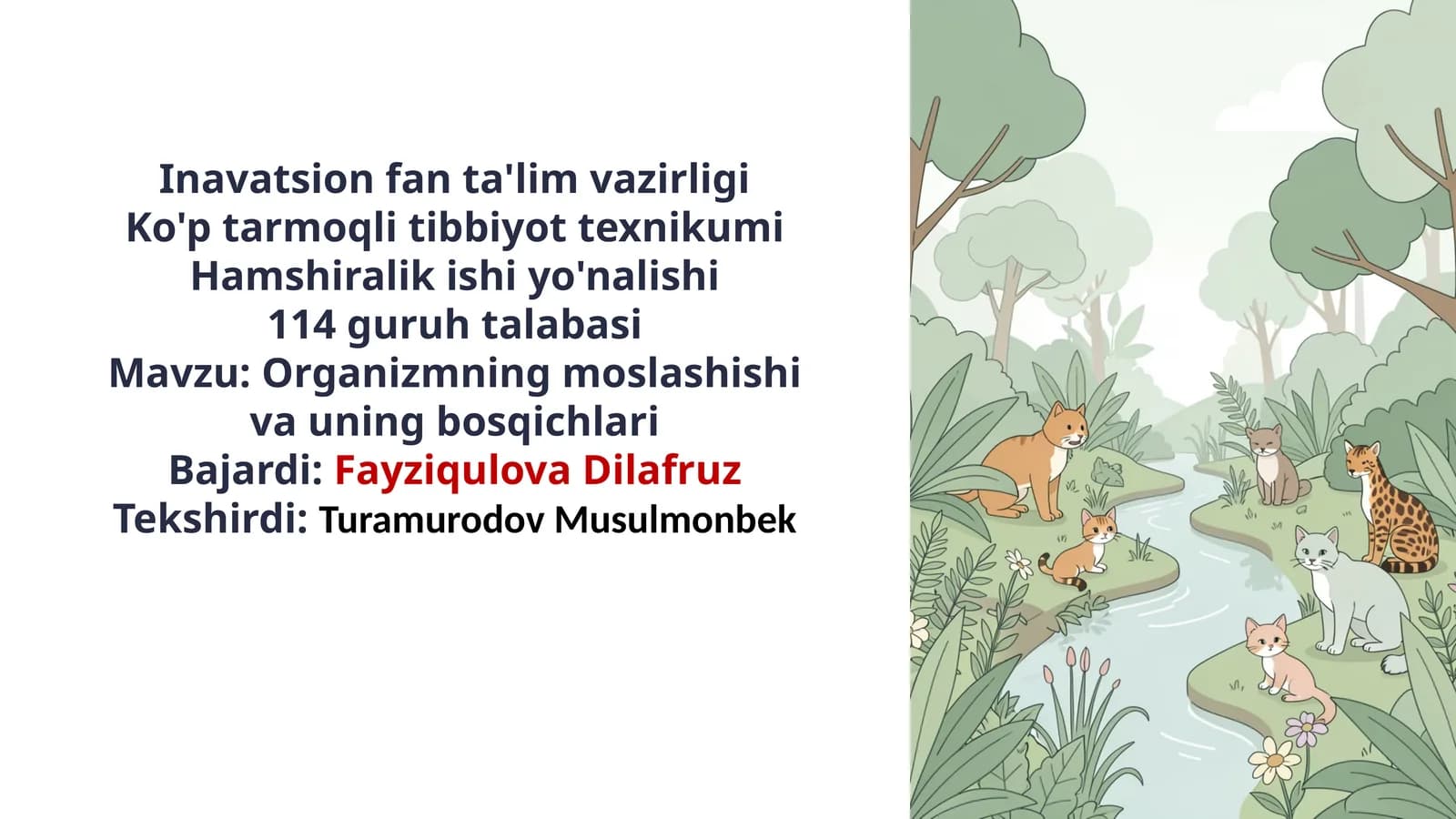 Organizmning moslashishi va uning bosqichlari