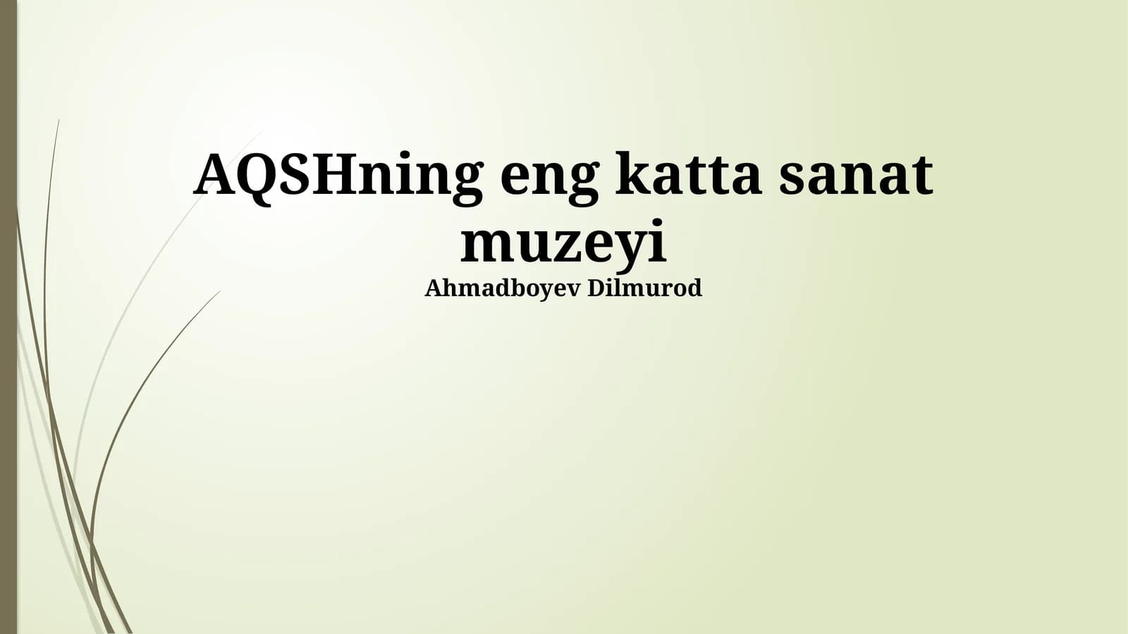 AQSHning eng katta sanat muzeyi