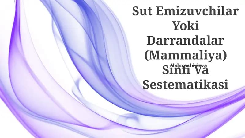 Sut Emizuvchilar Yoki Darrandalar (Mammaliya) Sinfi Va Sestematikasi