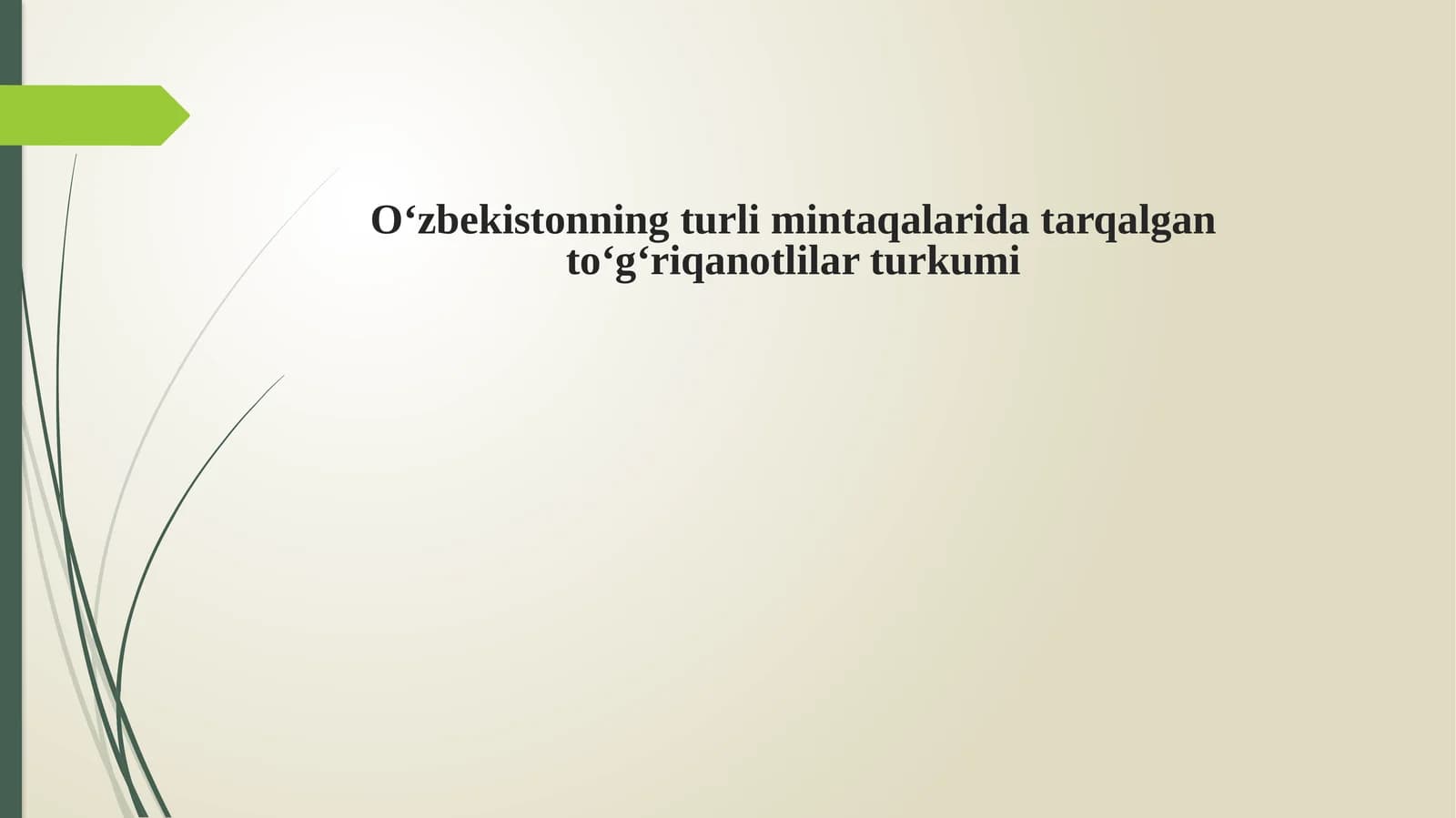 To‘g‘riqanotlar turkumi