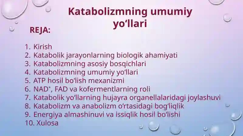 Katabolizmning umumiy  yo‘llari