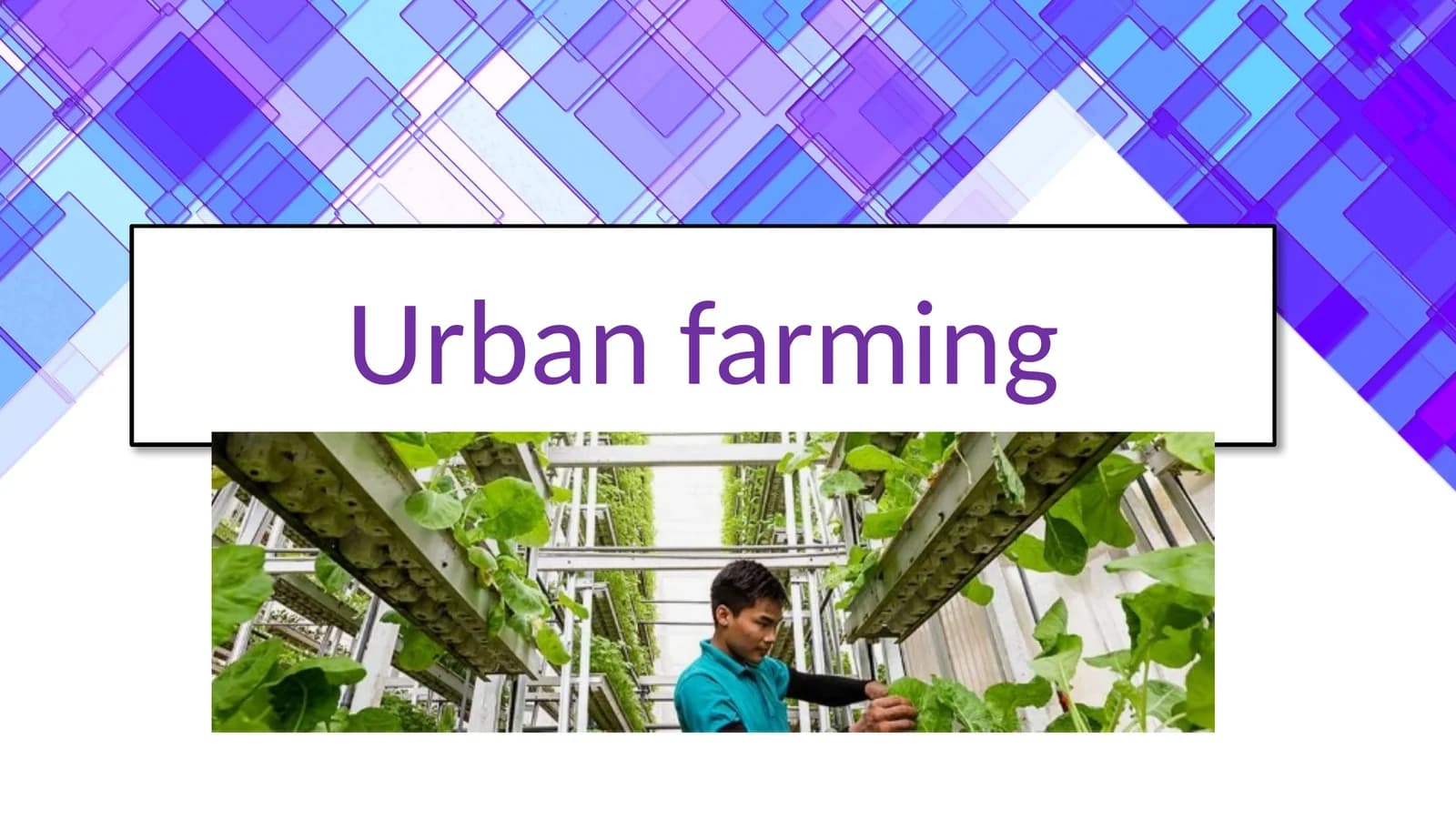 Urban farming