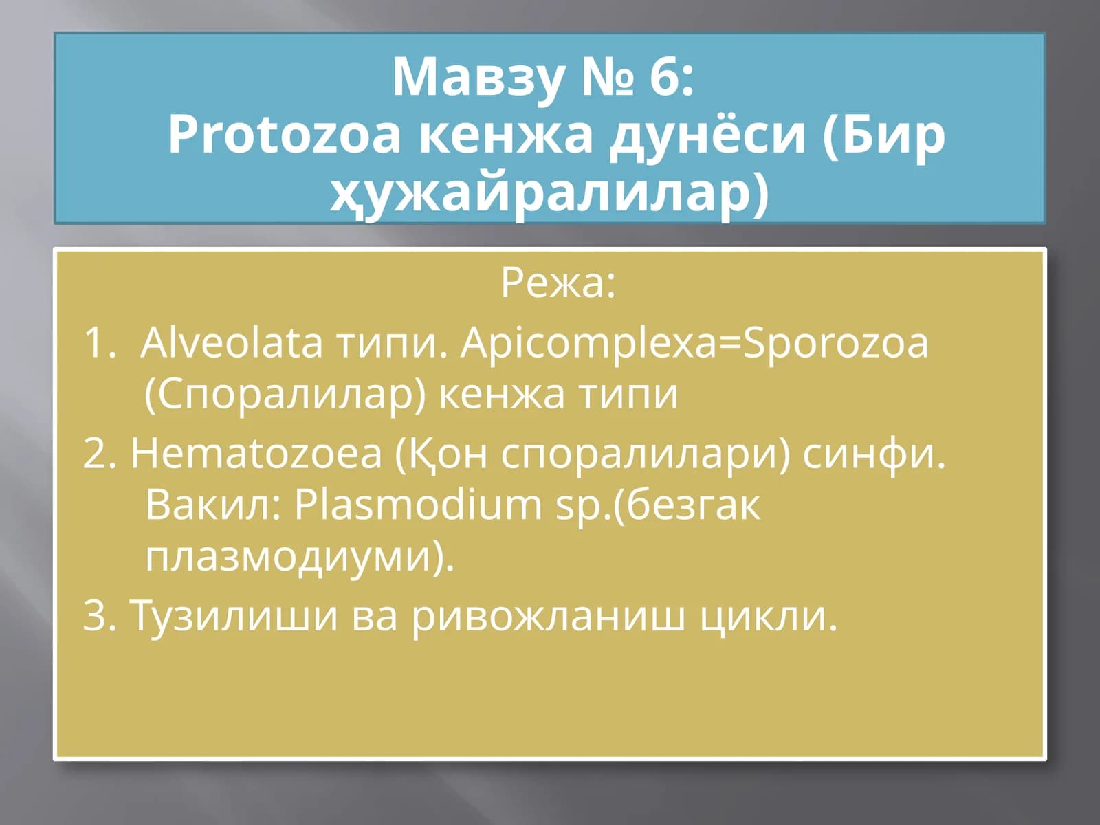 Protozoa кенжа дунёси (Бир ҳужайралилар)