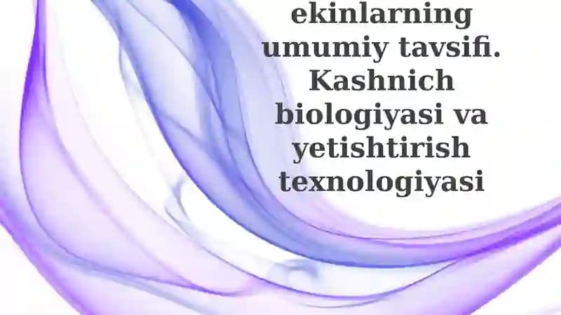 Efir moyli ekinlarning umumiy tavsifi