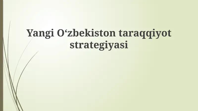 Yangi Oʻzbekiston taraqqiyot strategiyasi