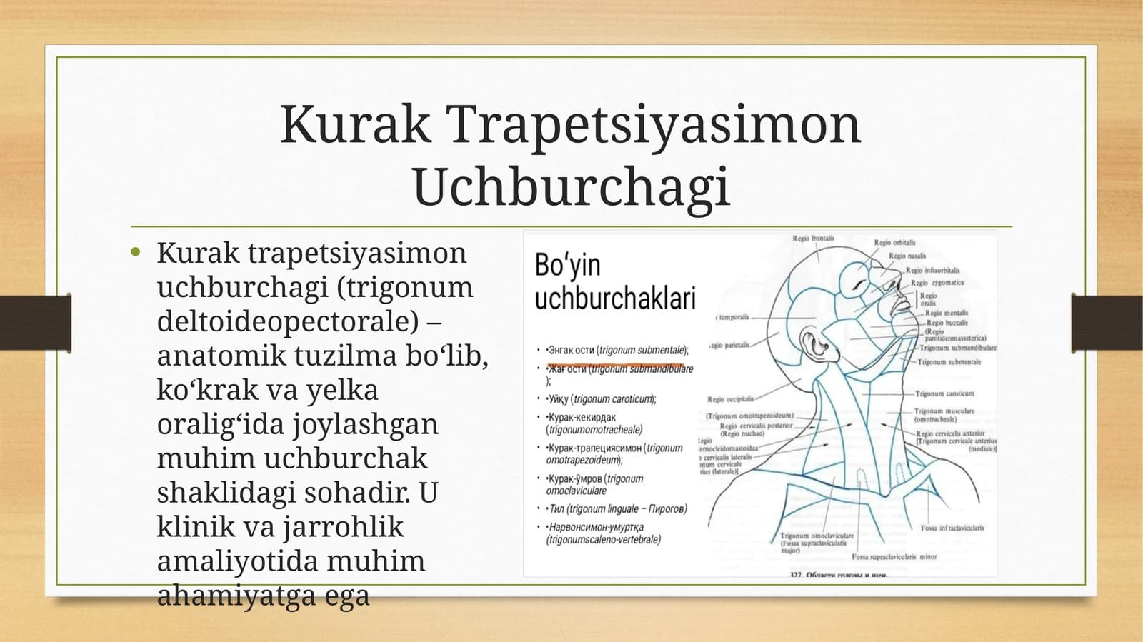 Kurak Trapetsiyasimon uchburchagi