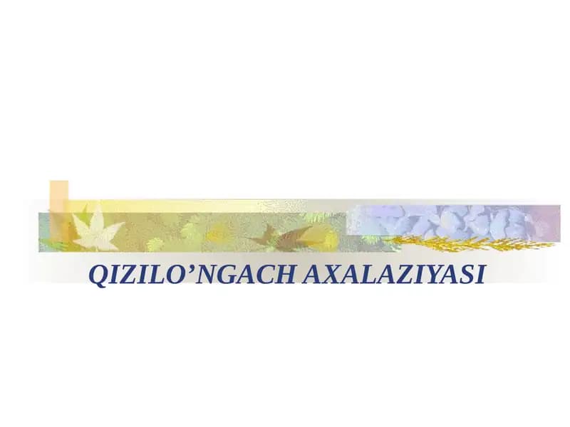 QIZILO’NGACH AXALAZIYASI