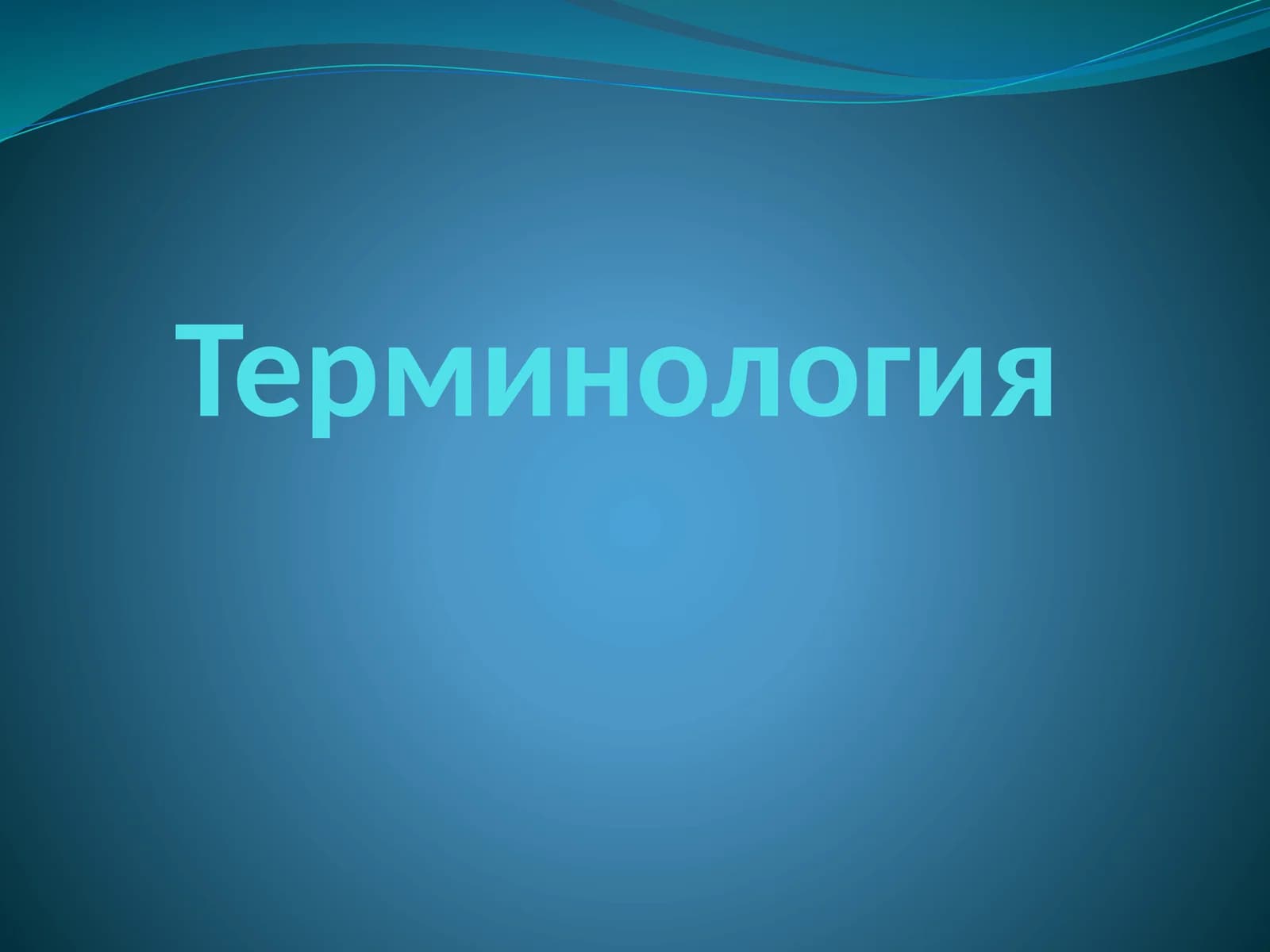 Терминология