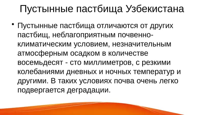 Пустынные пастбища Узбекистана