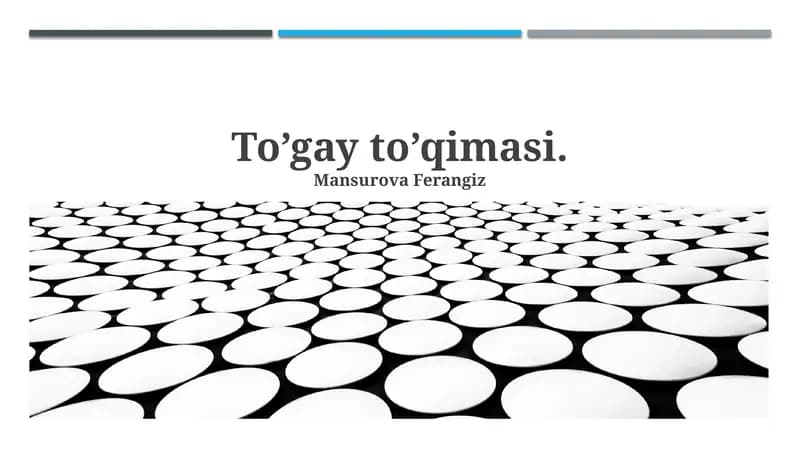 To’gay to’qimasi
