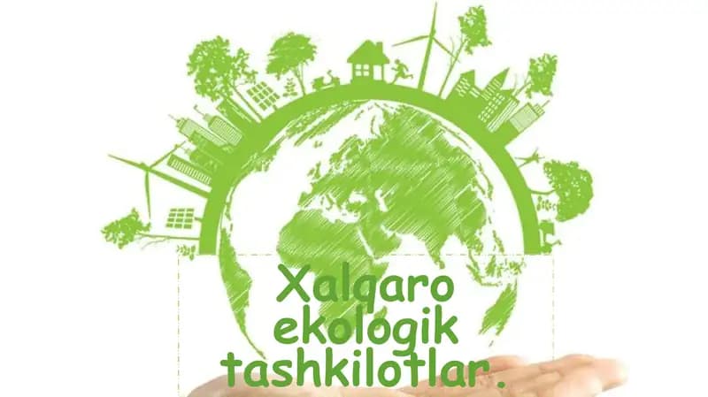 Xalqaro ekologik tashkilotlar