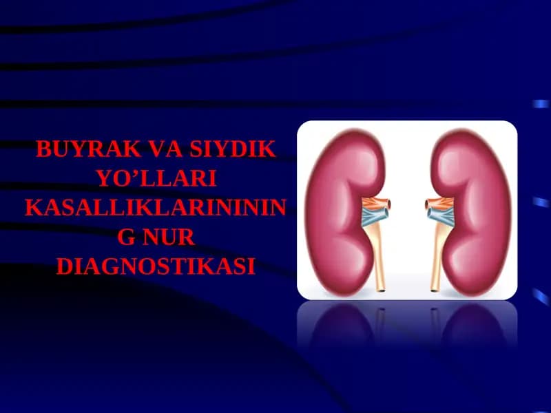 BUYRAK VA SIYDIK YO’LLARI KASALLIKLARININING NUR DIAGNOSTIKASI