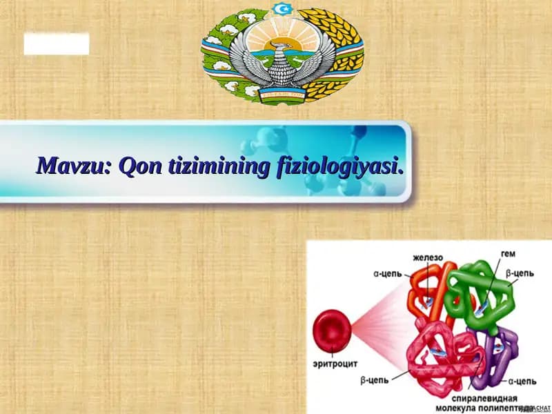Qon tizimining fiziologiyasi