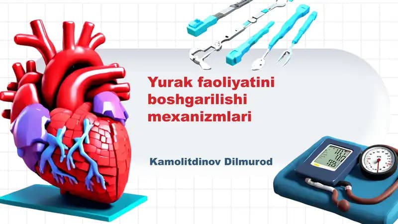 Yurak faoliyatini boshgarilishi mexanizmlari