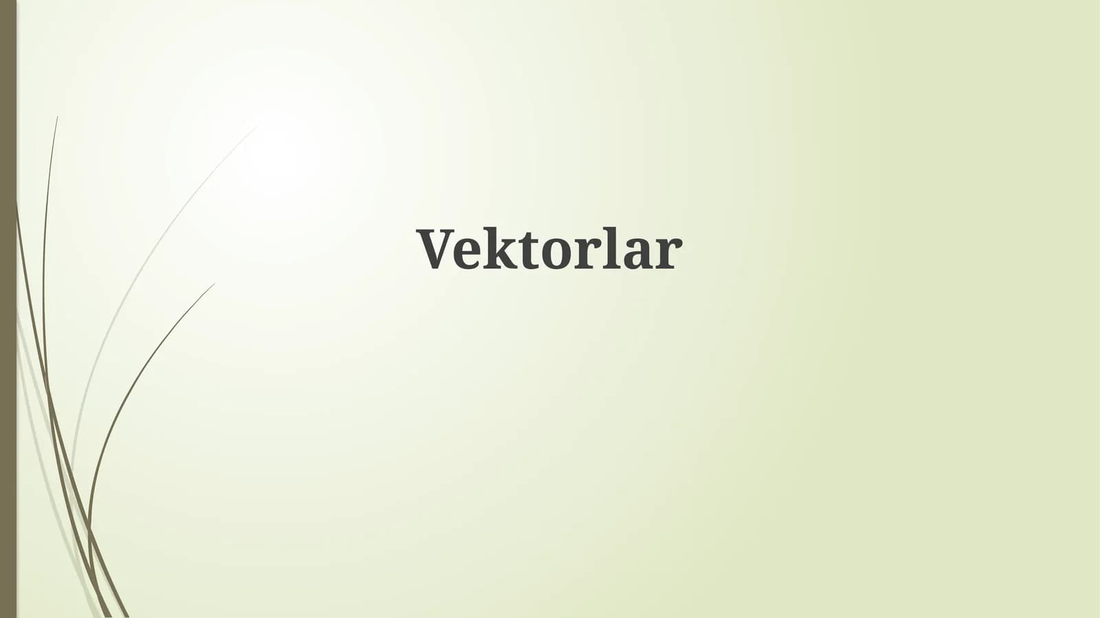 Vektorlar