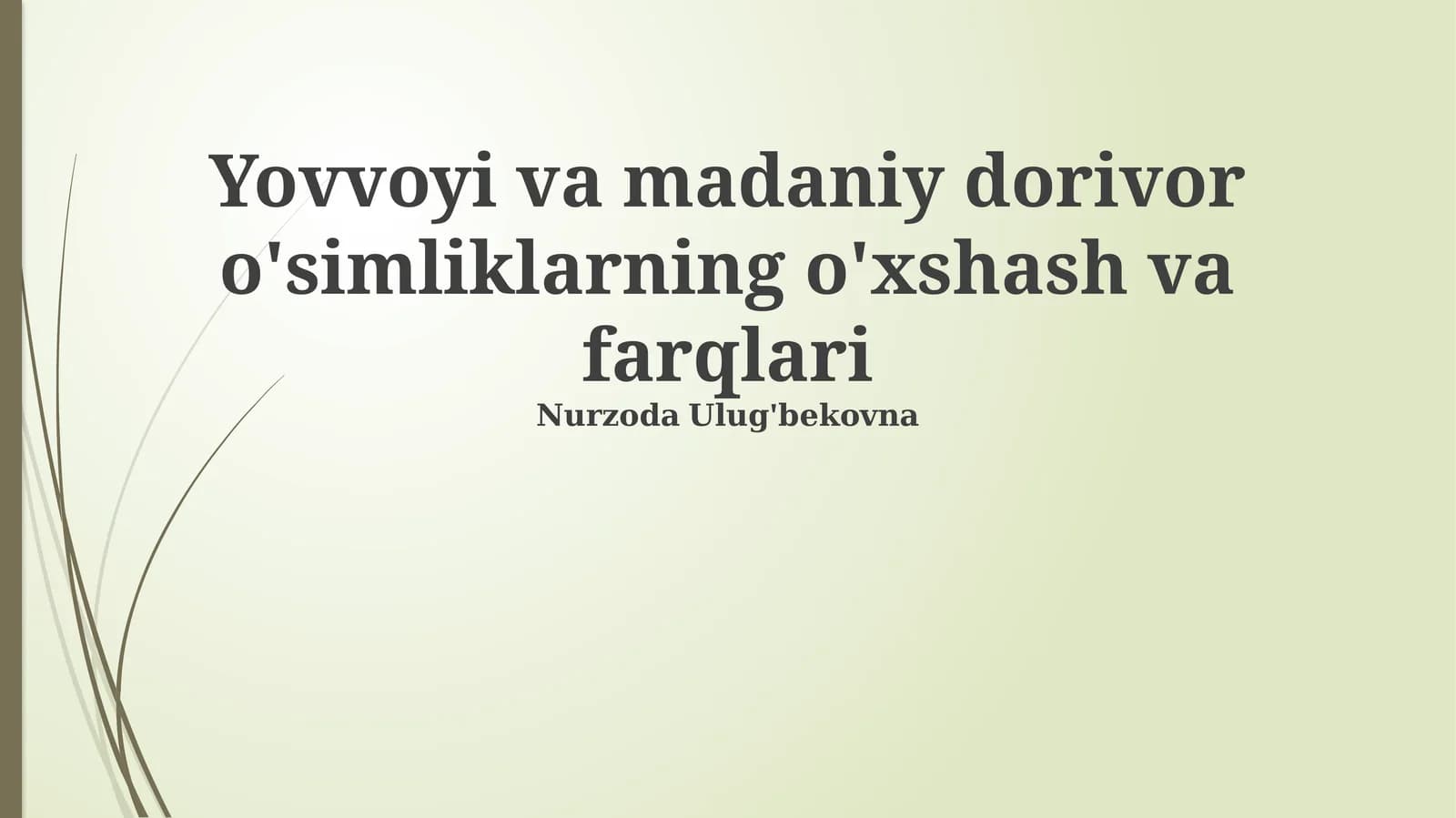 Yovvoyi va madaniy dorivor o'simliklarning o'xshash va farqlari