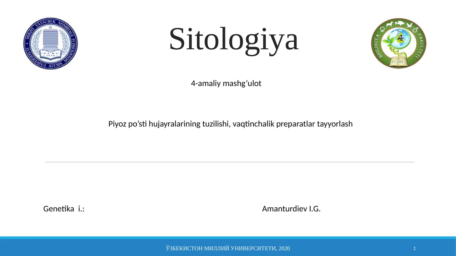 Piyozpo’sti hujayralarining tuzilishi