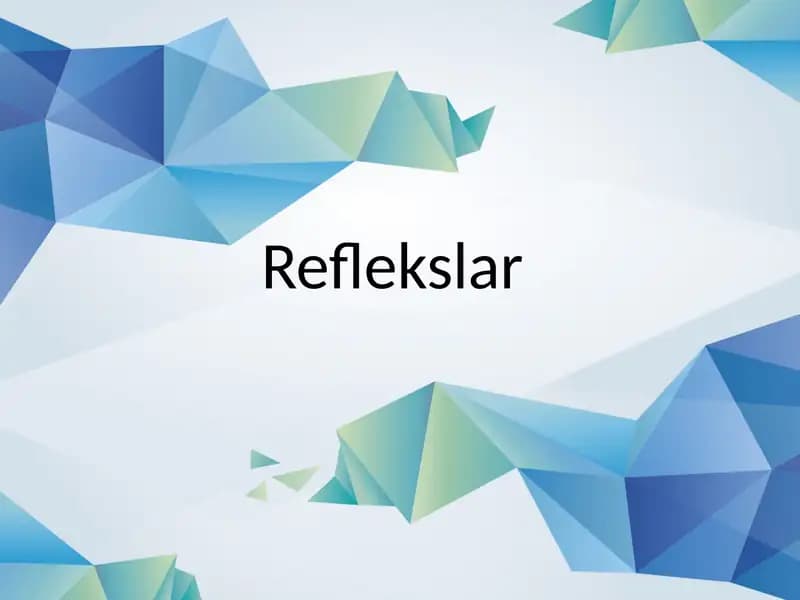 Reflekslar