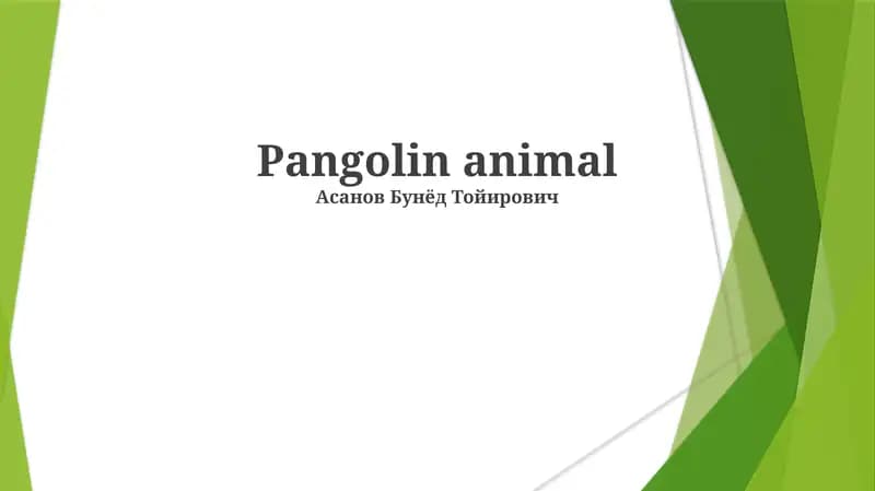 Pangolin animal