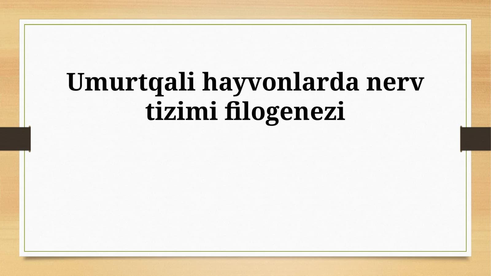 Umurtqali hayvonlarda nerv tizimi filogenezi