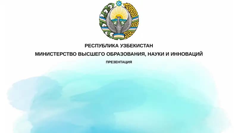 Призвание или работа: многогранная реальность врачебной деятельности