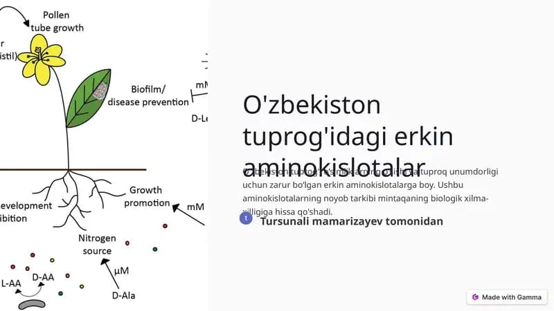 O'zbekiston tuprog'idagi erkin aminokislotalar