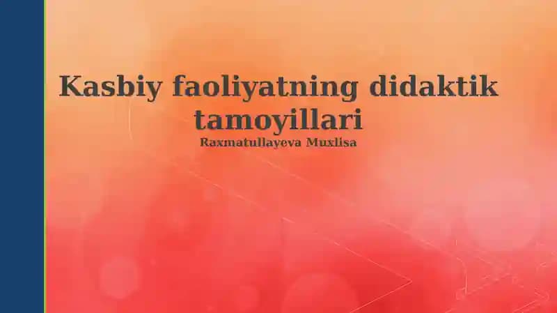 Kasbiy faoliyatning didaktik tamoyillari