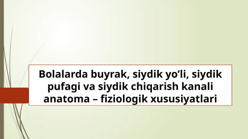 Bolalarda buyrak, siydik yo’li, siydik pufagi va siydik chiqarish kanali anatoma – fiziologik xususiyatlari