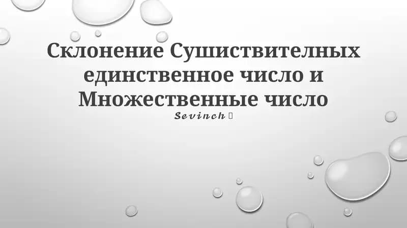 Склонение Сушиствителных единственное число и Множественные число