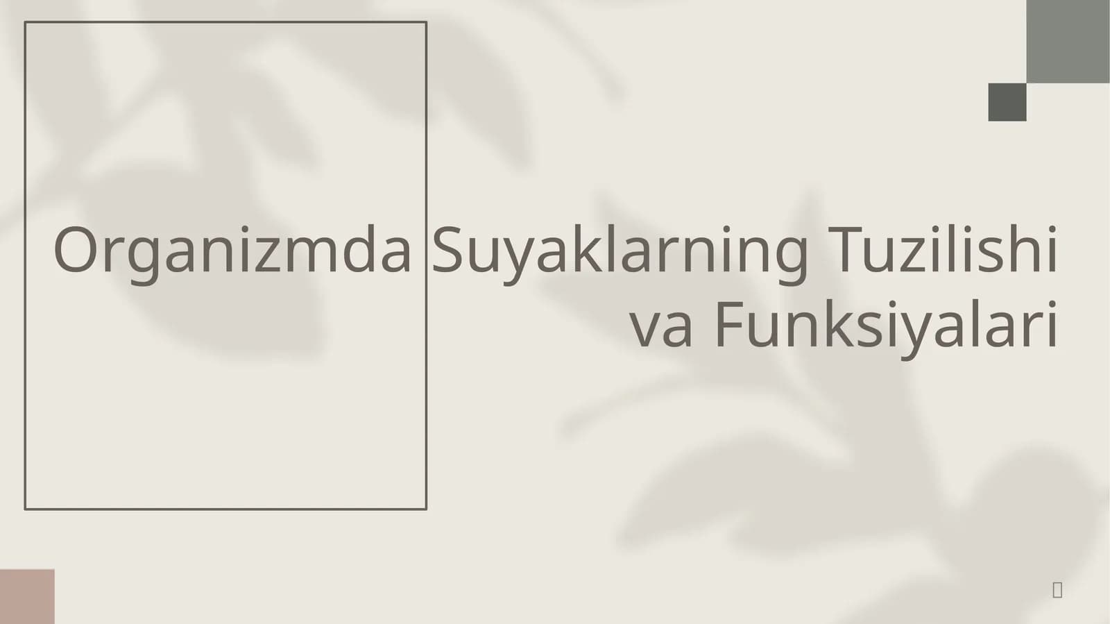 Organizmda Suyaklarning Tuzilishi va Funksiyalari