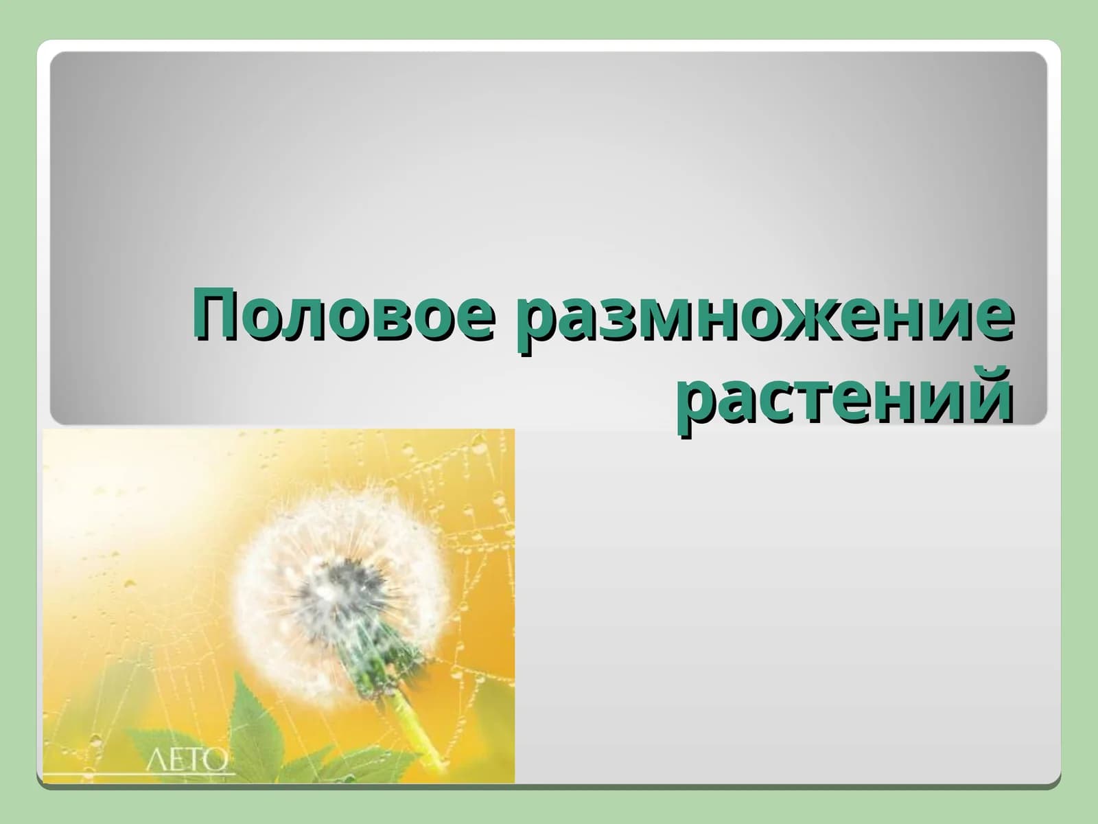 Половое размножение растений