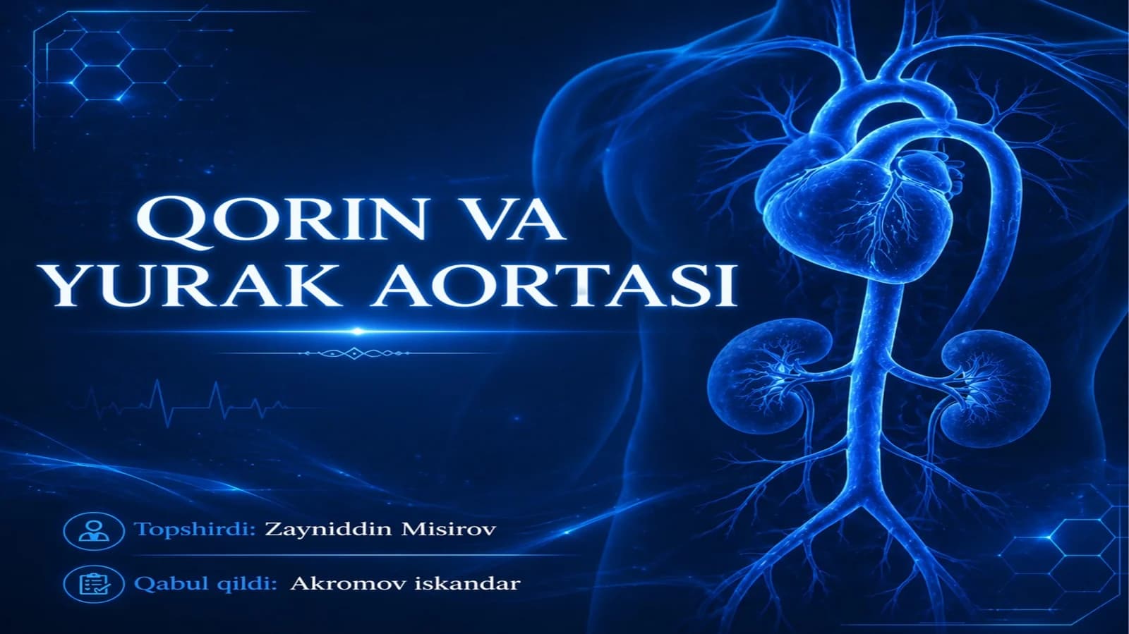 Qorin va yurak aortasi