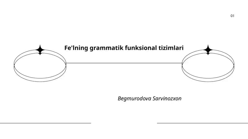 Fe'lning grammatik funksional tizimlari