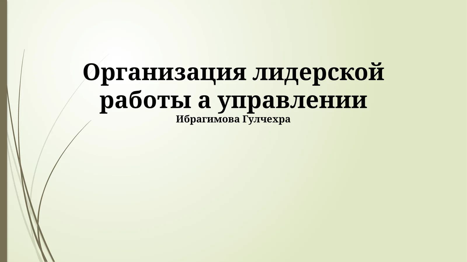 Организация лидерской работы а управлении