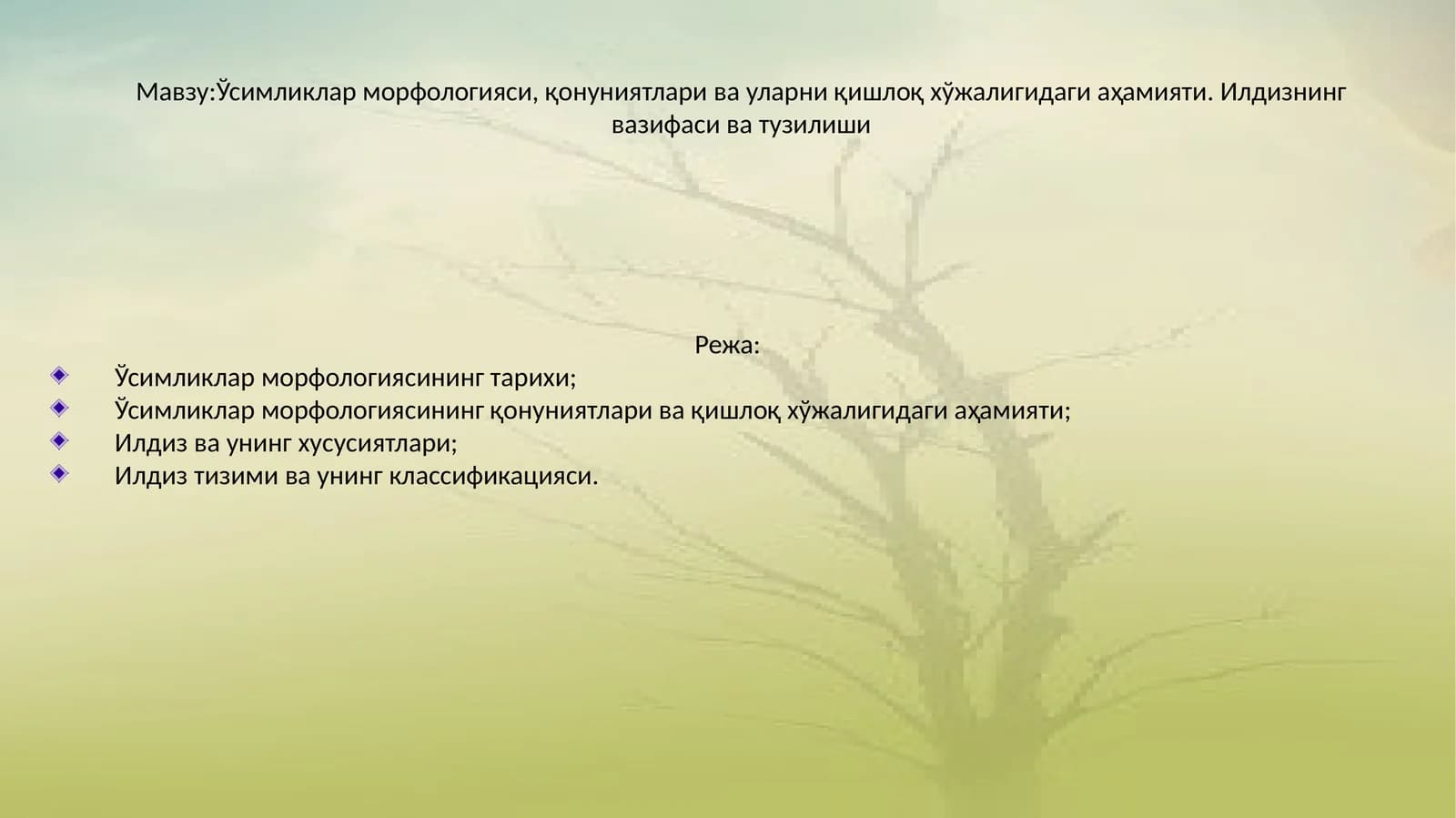Ўсимликлар морфологияси, қонуниятлари ва уларни қишлоқ хўжалигидаги аҳамияти. Илдизнинг вазифаси ва тузилиши