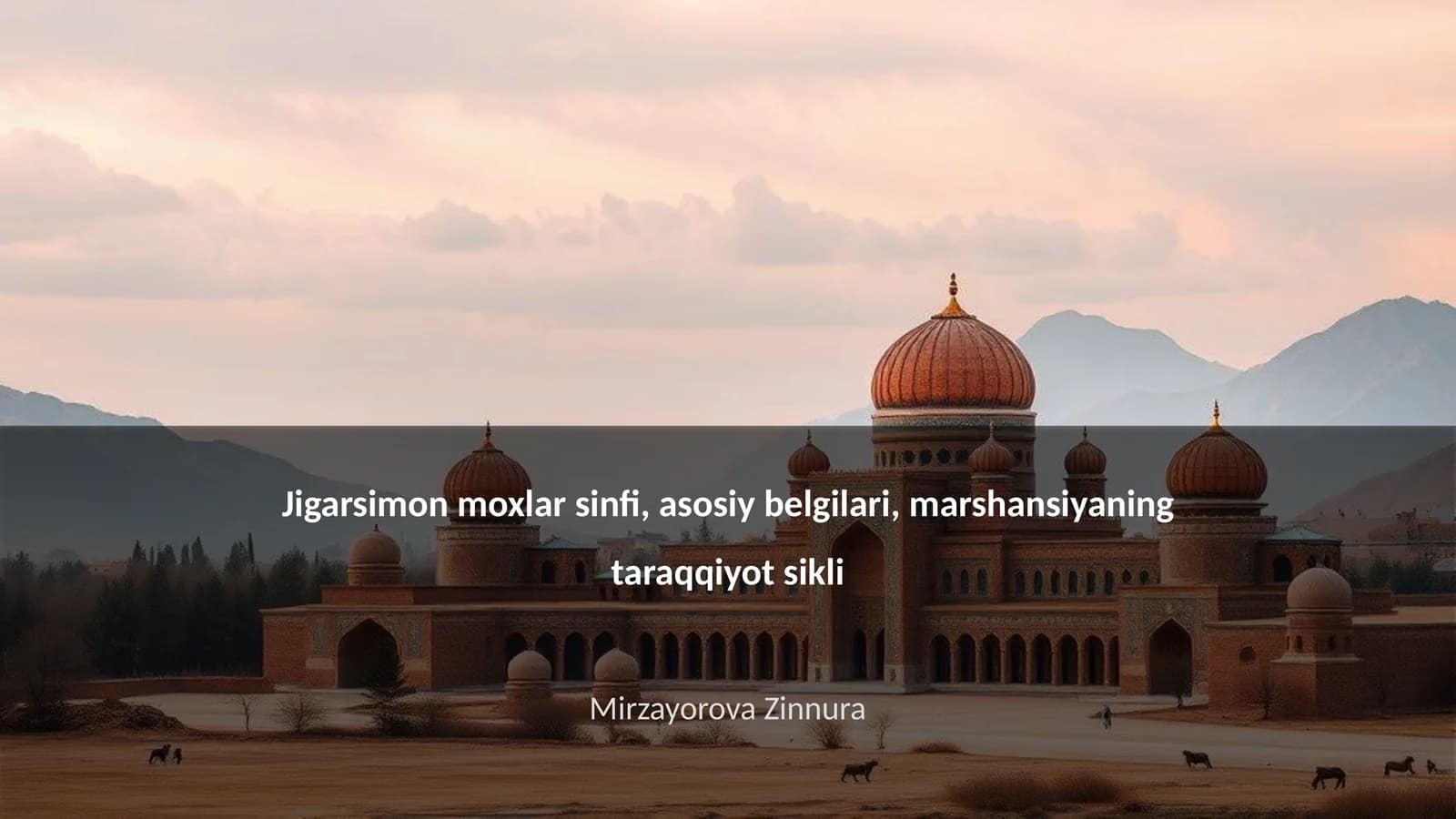 Jigarsimon moxlar sinfi, asosiy belgilari, marshansiyaning taraqqiyot sikli