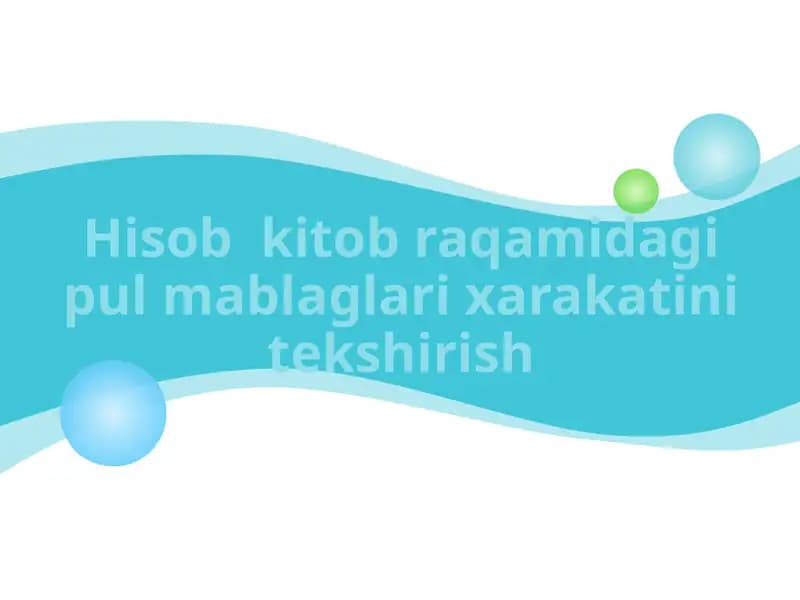Hisob  kitob raqamidagi pul mablaglari xarakatini tekshirish