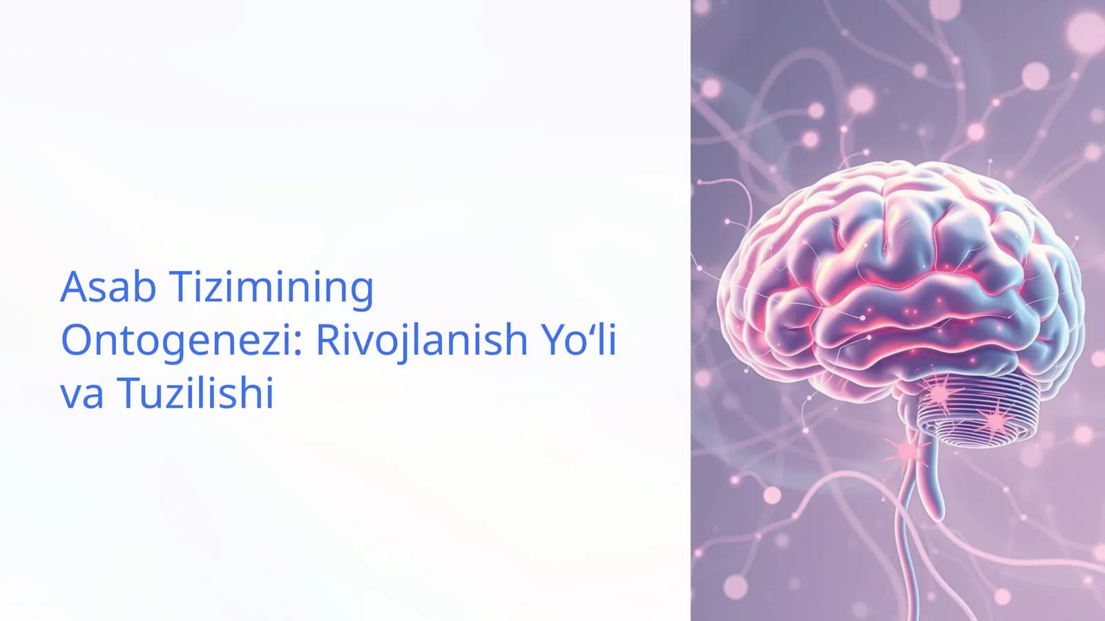 Asab Tizimining Ontogenezi: Rivojlanish Yoʻli va Tuzilishi